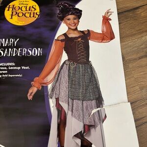 Disney Hocus Pocus Mary Sanderson Costume - Orange, Brown, Purple